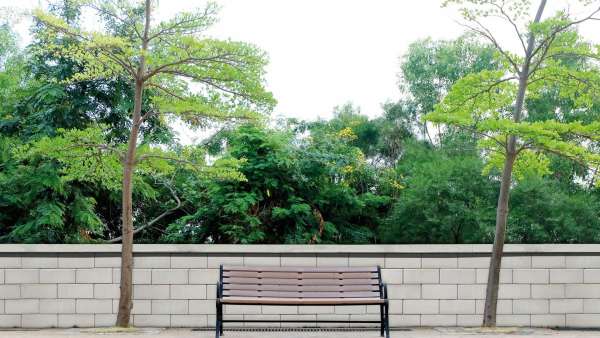 Frühwald Soneva falazóko - Krémfehér